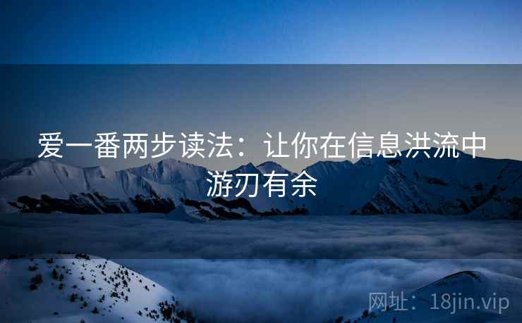 爱一番两步读法：让你在信息洪流中游刃有余