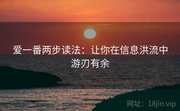 爱一番两步读法：让你在信息洪流中游刃有余