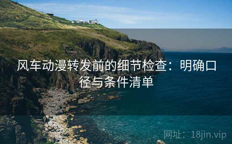 风车动漫转发前的细节检查:明确口径与条件清单 风车动漫转发前的细节检查:明确口径与条件清单